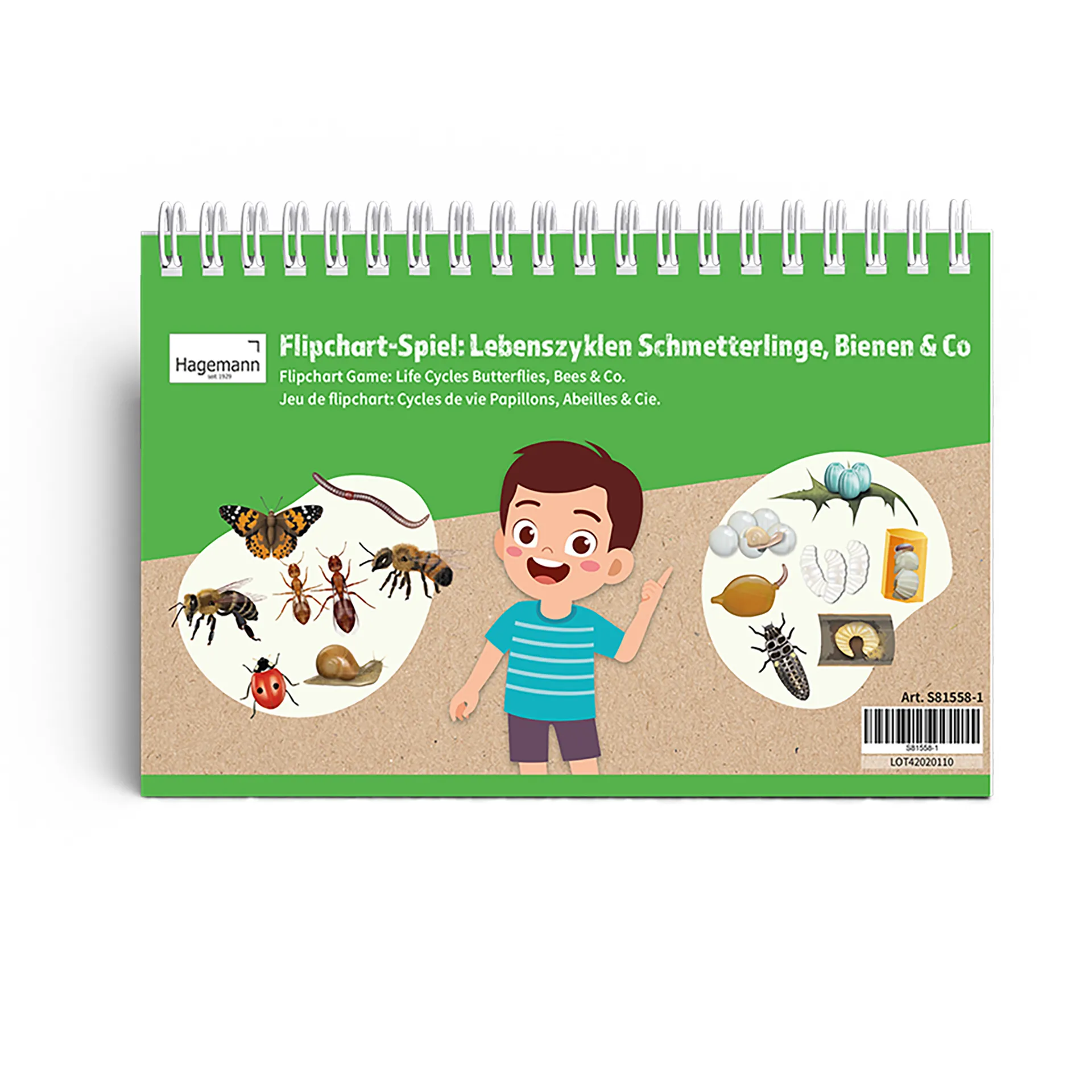 Hagemann Flipchart-Spiel Lebenszyklus Schmetterlinge, Bienen & Co