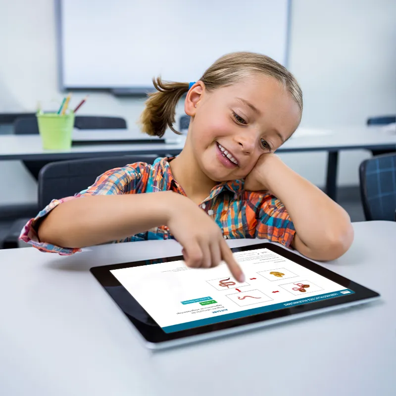 Hagemann Lebenszyklus-Modelle Regenwurm, 4-tlg.