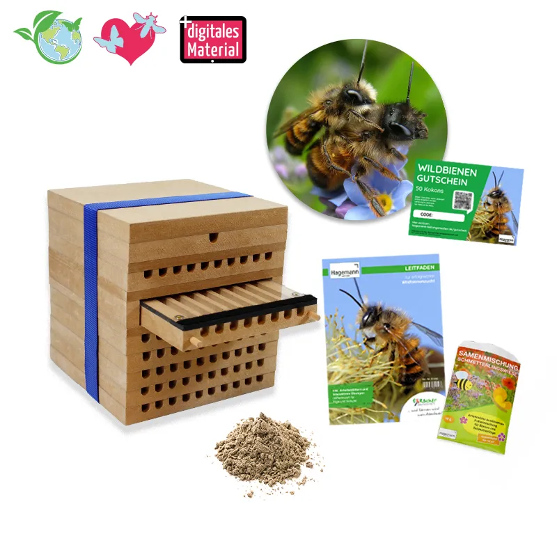 Hagemann Zuchtset Wildbienen, Gehörnte Mauerbiene (mit Gutschein, 50 Kokons)