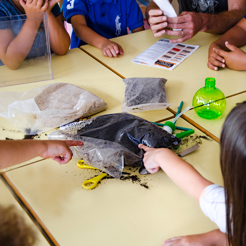 Wurzel- und Regenwurm-Beobachtungs-Set (2 Stück)