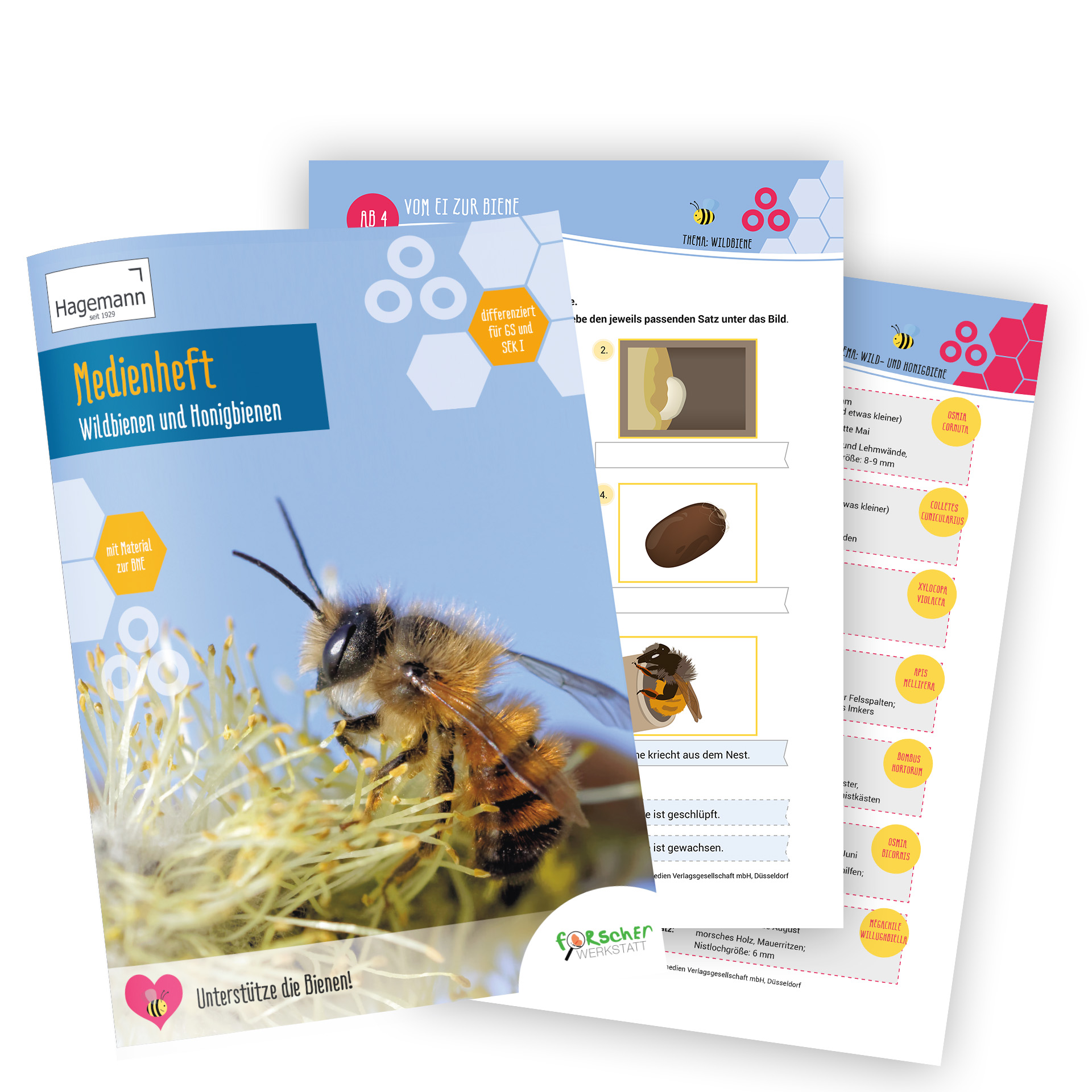 Medienheft Wildbienen und Honigbienen