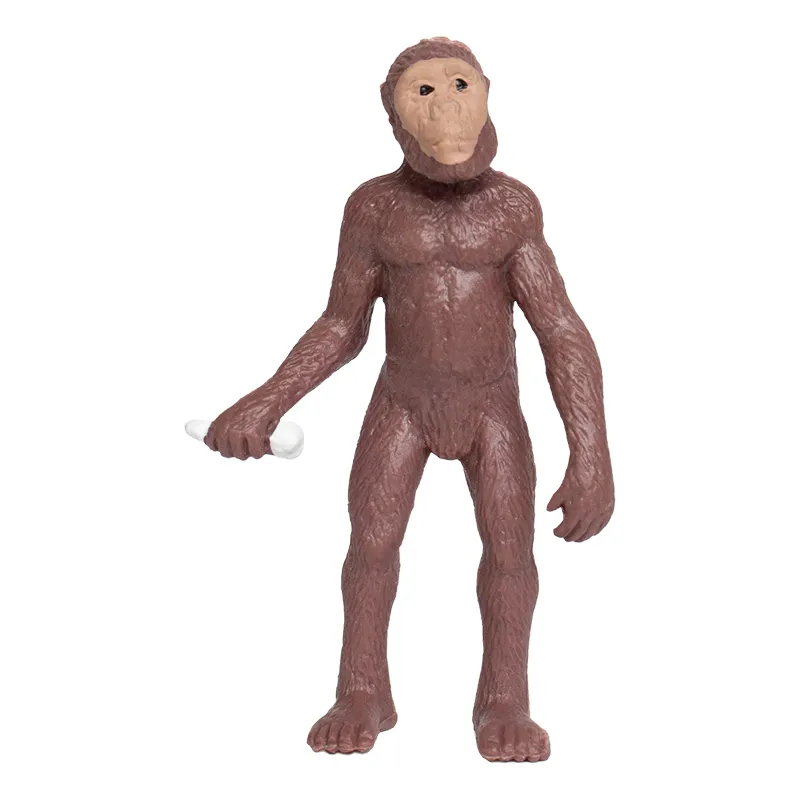 Hagemann Entwicklung des Menschen (Evolution, Modelle), 5-tlg.