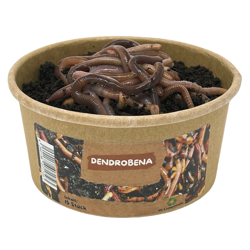 Hagemann Nachbestellung Regenwürmer (10-15 Stück)