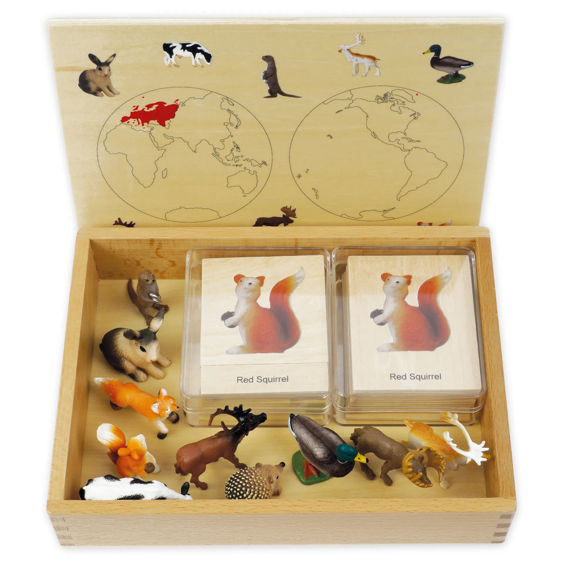 TimeTEX Mini-Tiere-Set Europa "Montessori Premium"
