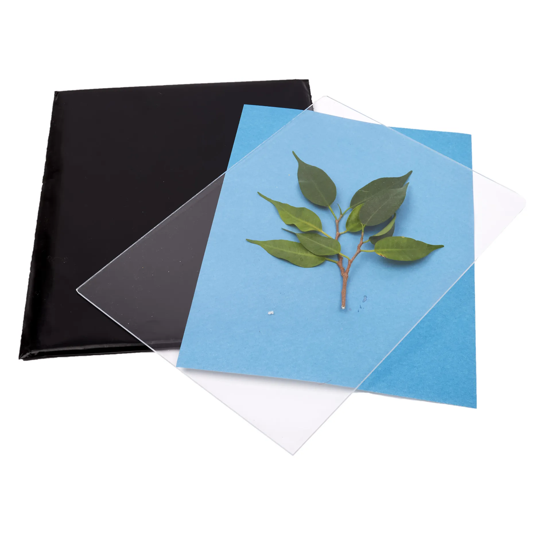 Foto-Solarpapier mit Fixierscheibe (40 Blatt 17,8 x 12,7 cm)