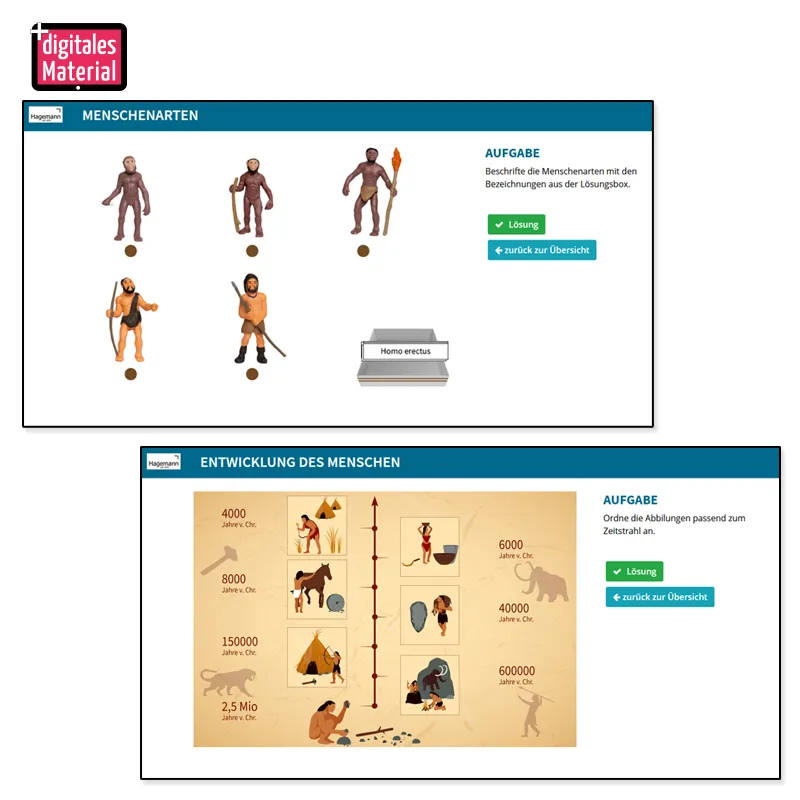 Hagemann Entwicklung des Menschen (Evolution, Modelle), 5-tlg.