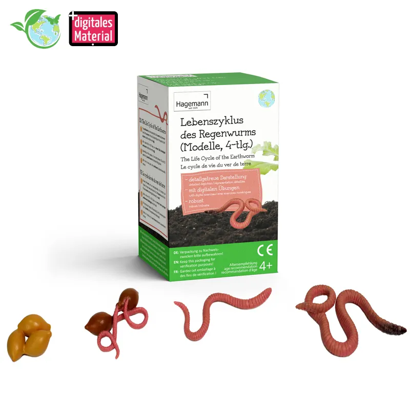 Hagemann Lebenszyklus-Modelle Regenwurm, 4-tlg.