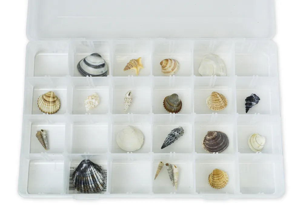 Sortimentsbox groß 355x220x50 mm