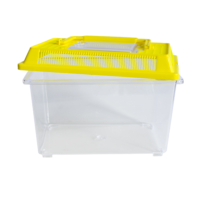 Insekten-Beobachtungsbox