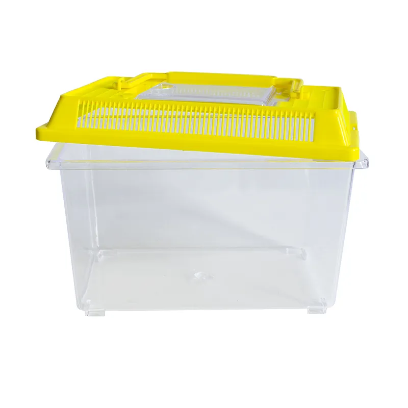 Insekten-Beobachtungsbox