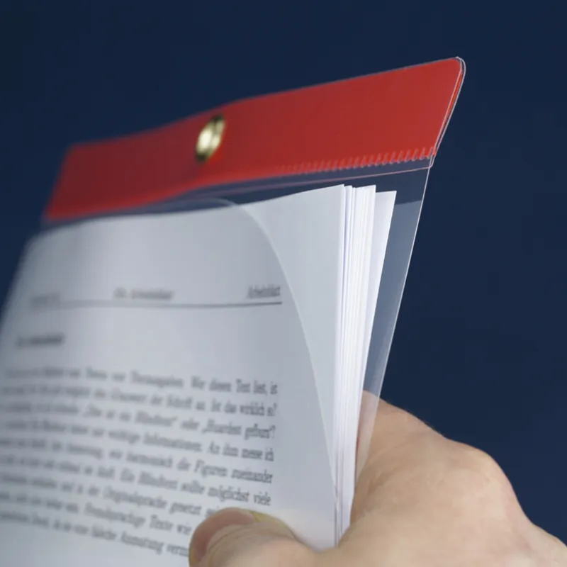 Set Einstecktaschen A4-Plus mit Farbstreifen, 5-tlg.