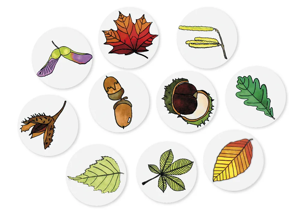 Stempel-Set "Bäume - Blätter und Früchte", 10 Stück