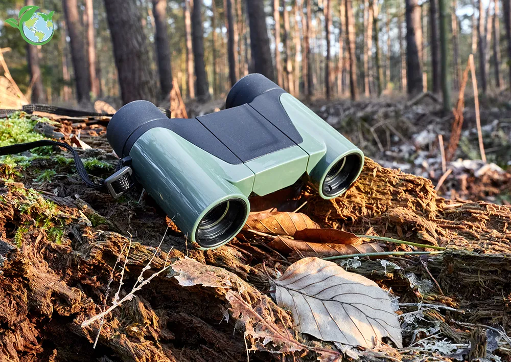 Vorfokussiertes Fernglas