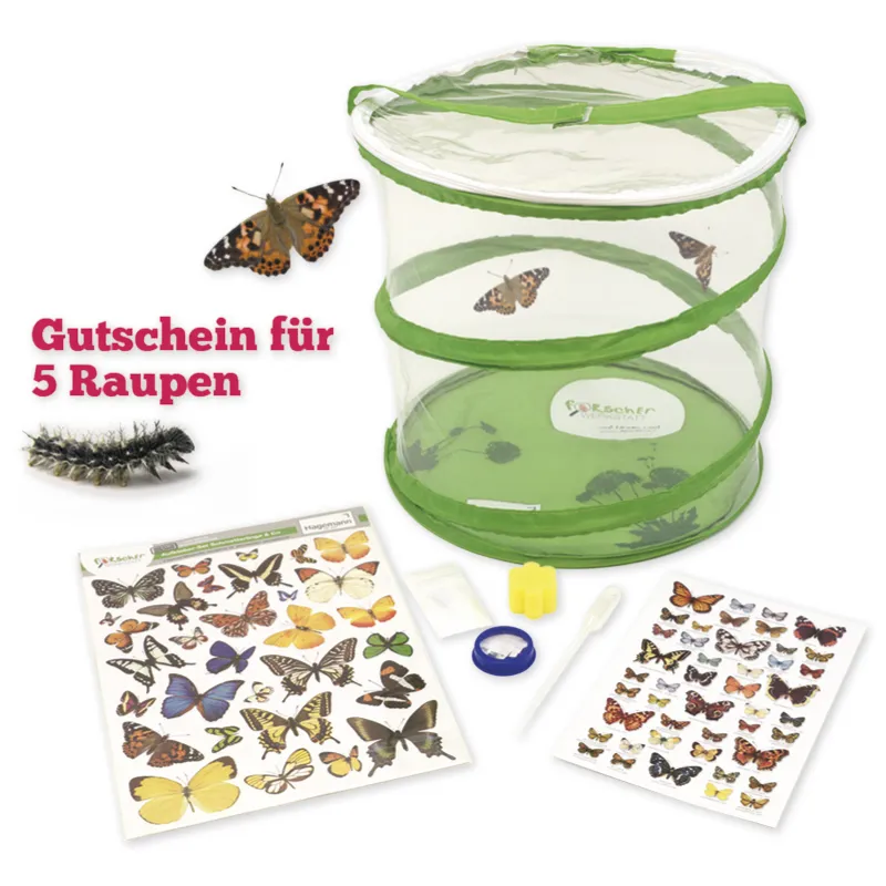 Klassenprojektset Tiere züchten und beobachten