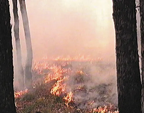 DVD-Lehrfilm Unsere Atmosphäre in Gefahr