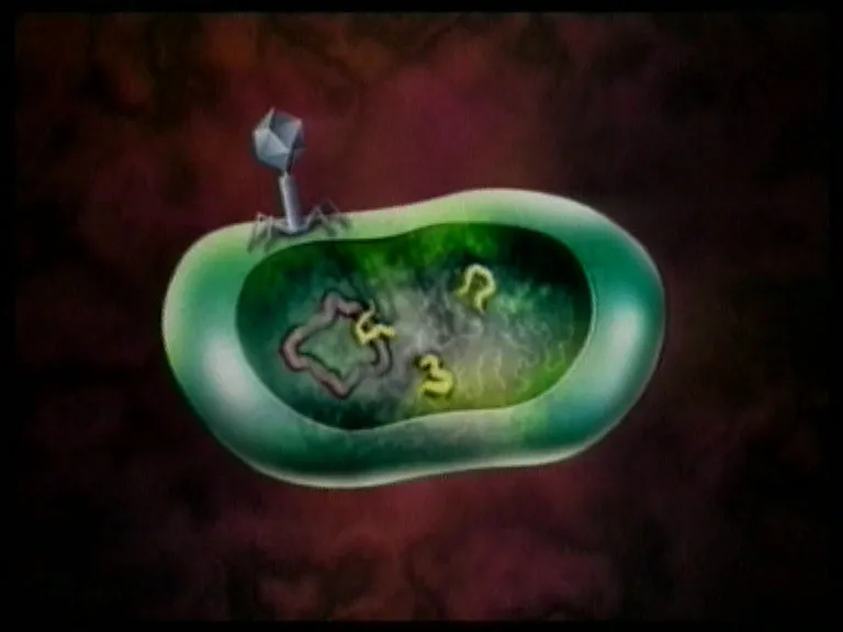 DVD-Lehrfilm Die Welt der Viren