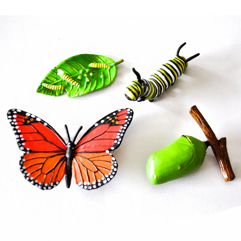 Hagemann Lebenszyklus des Monarchfalters (Modelle, 4-tlg.)