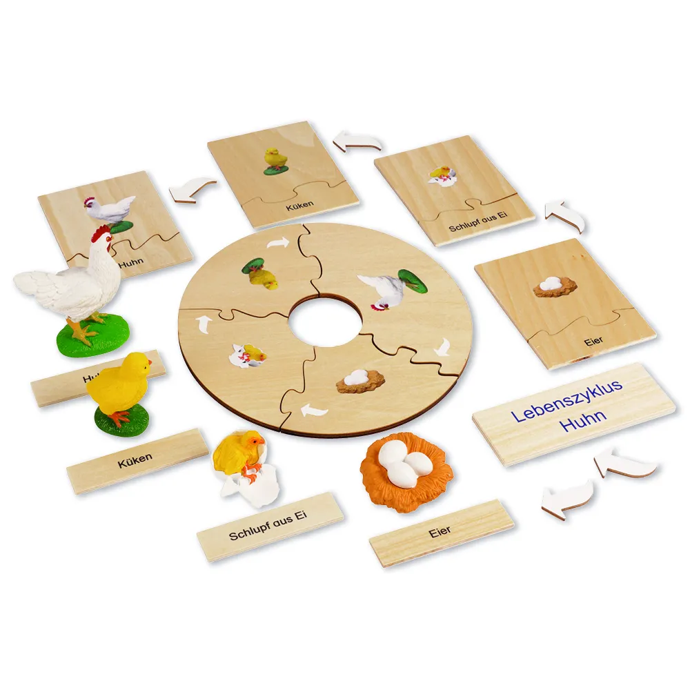 TimeTEX Lebenszyklus eines Huhns, in Holzbox "Montessori Premium"