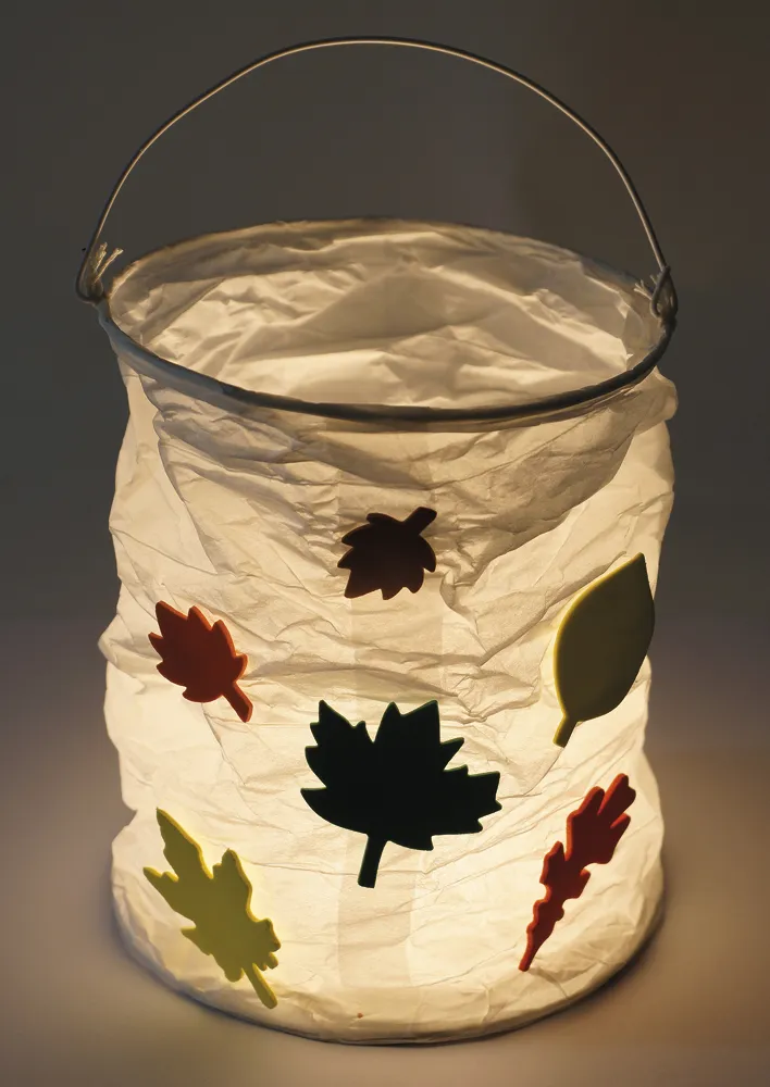 Papier-Lampions zylindrisch, 6 Stück