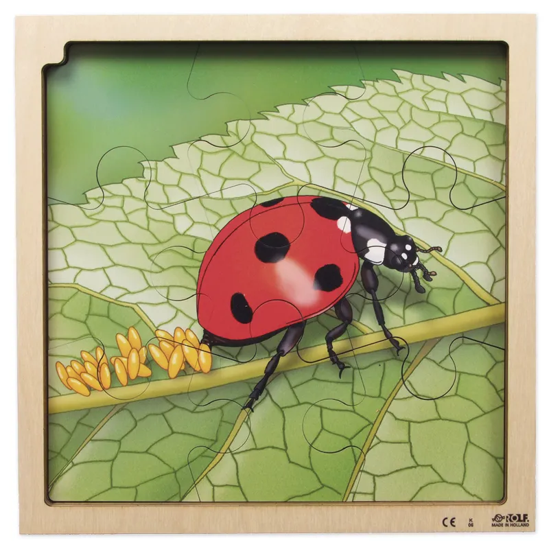 Schichten-Puzzle "Marienkäfer" + gratis APP, 86-tlg.