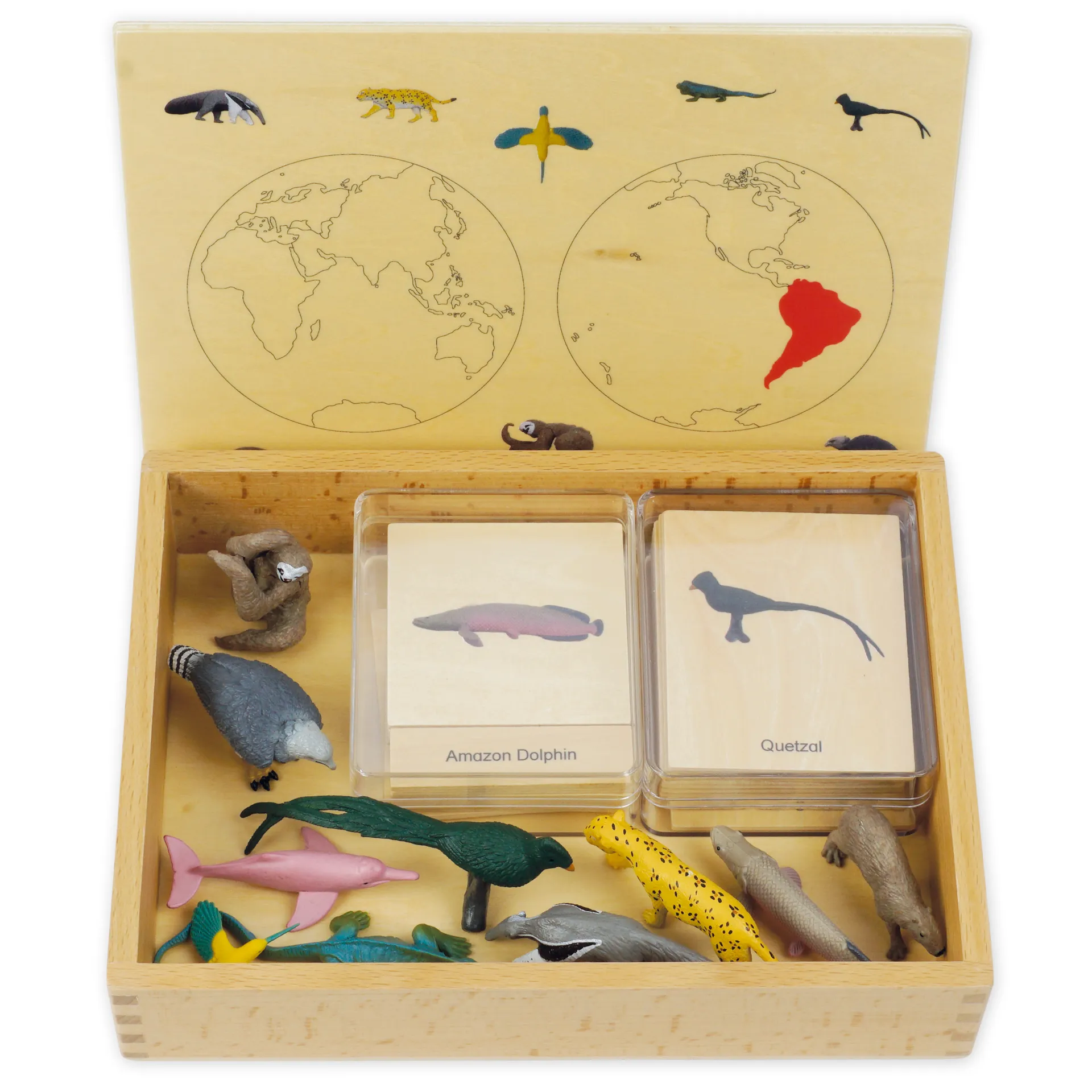 TimeTEX Mini-Tiere-Set Südamerika "Montessori Premium"
