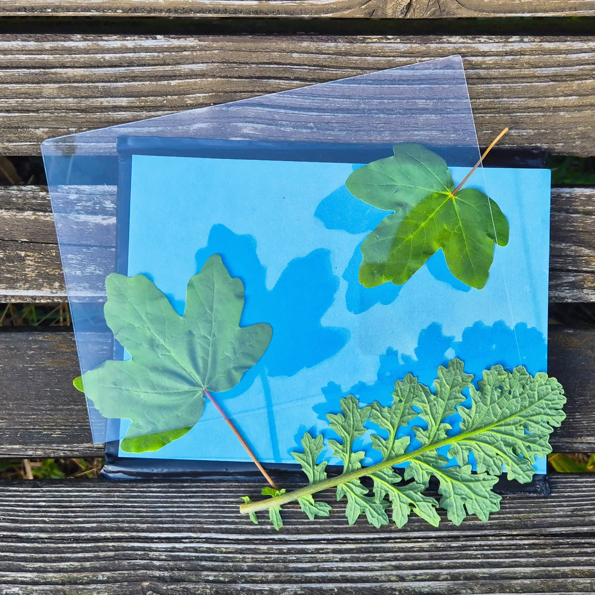 Hagemann Foto-Solarpapier mit Fixierfolie, A5, 10 Blatt