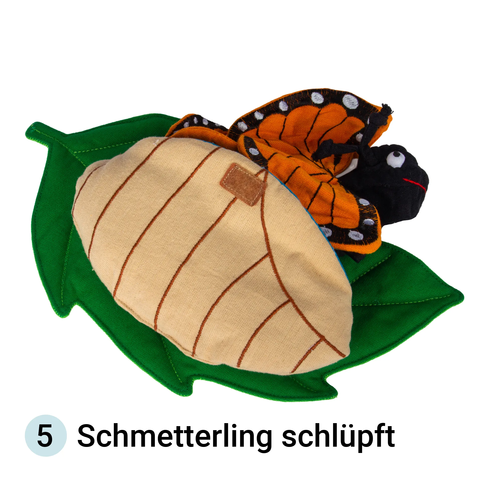 Stoffmodell Lebenszyklus Schmetterling (3-tlg.)