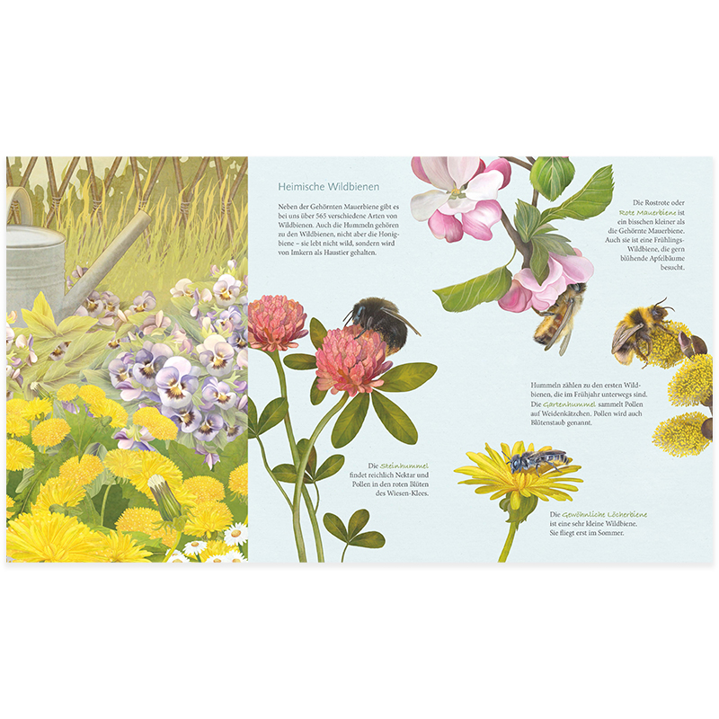 Ich bau dir ein Haus, kleine Wildbiene!