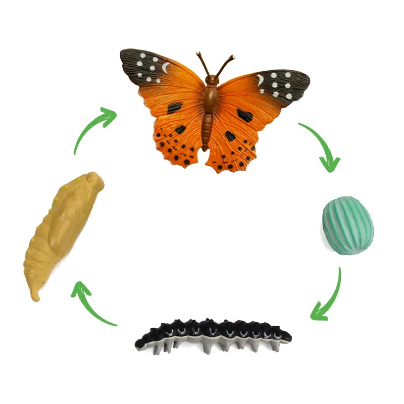 Hagemann Schmetterlings-Zuchtset, groß mit XXL-Voliere (mind. 10 Raupen)