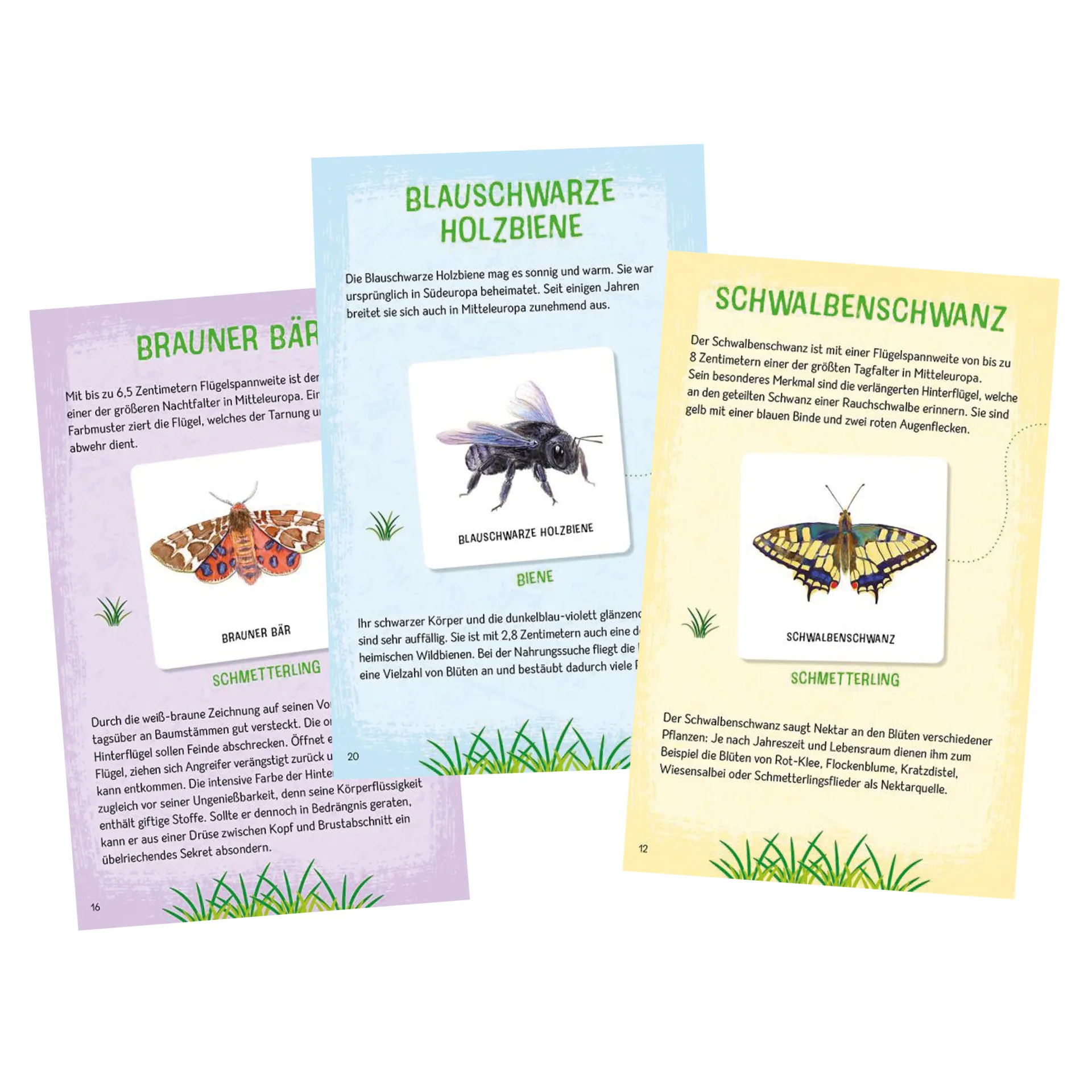 Das große Insekten Memo, 61-tlg.