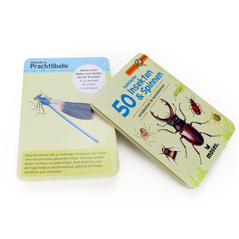 50 heimische Insekten & Spinnen