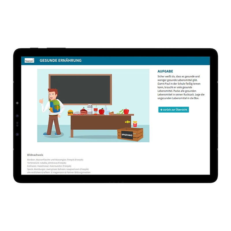 Hagemann Magnetbilder Ernährungspyramide