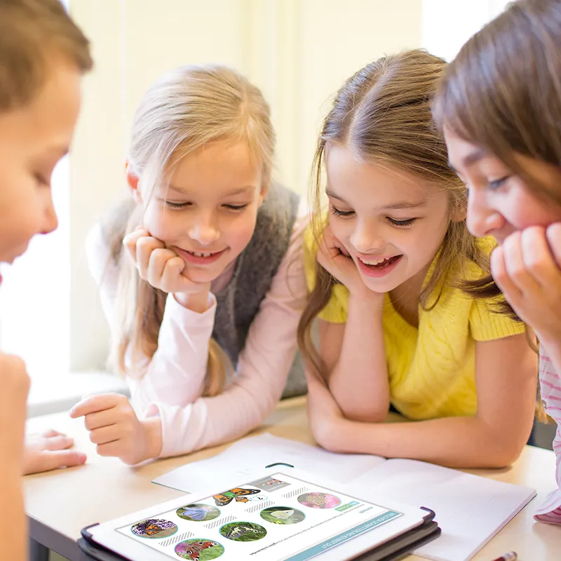 Didaktische DVD Wohn- und Lebensräume von Tieren (tabletfähig)