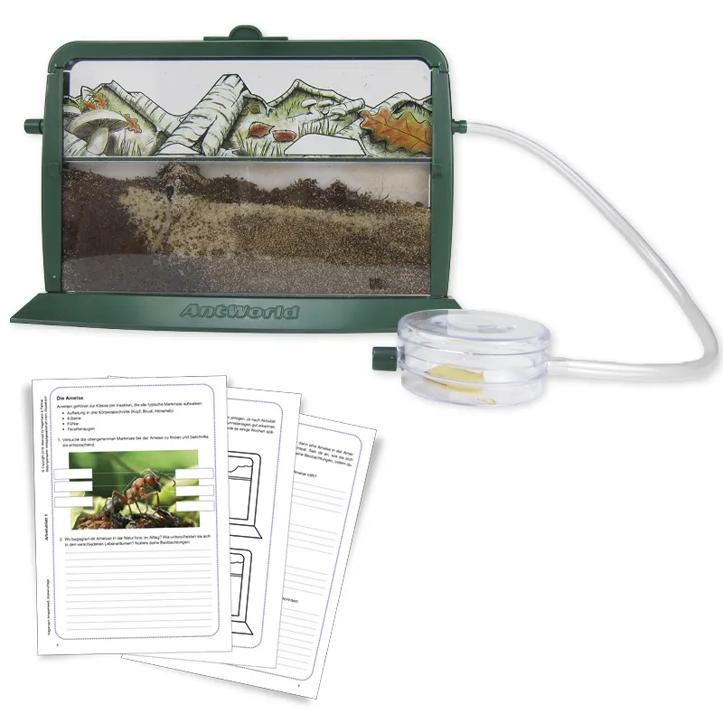 Klassenprojektset Tiere züchten und beobachten