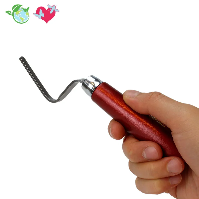 Hagemann Kokon-Heber 