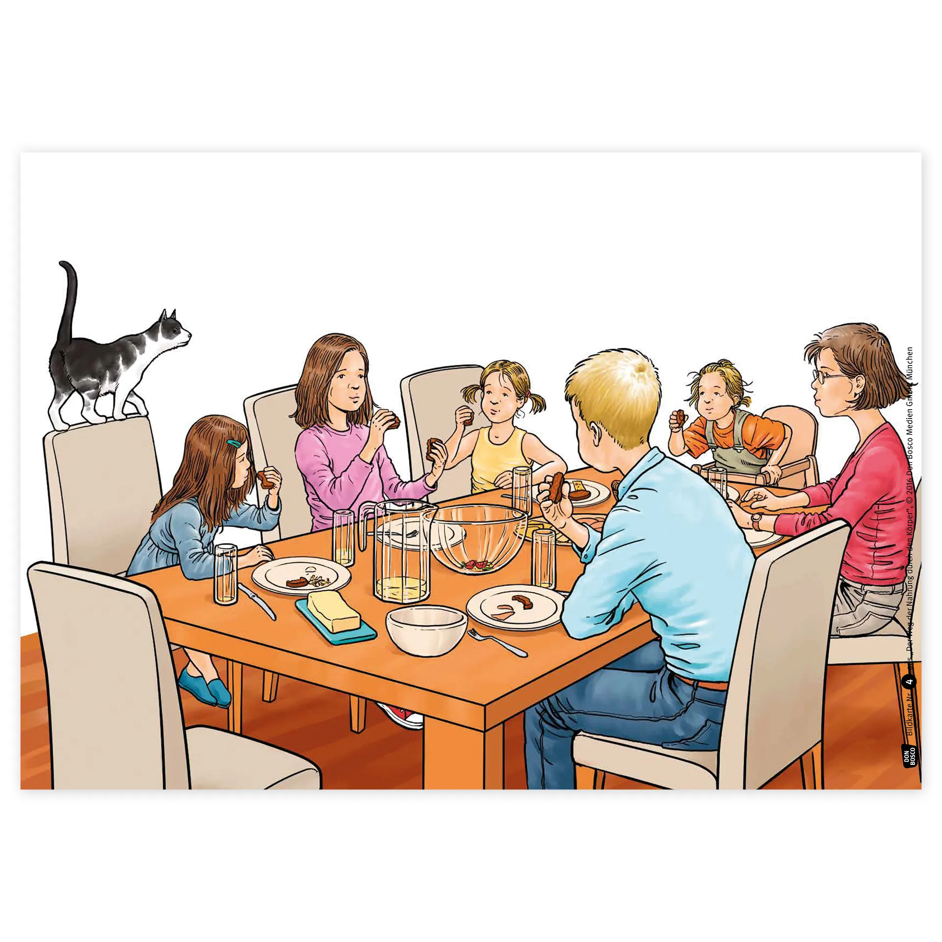 Bildergeschichten-Karten "Der Weg der Nahrung durch den Körper", 12-tlg.