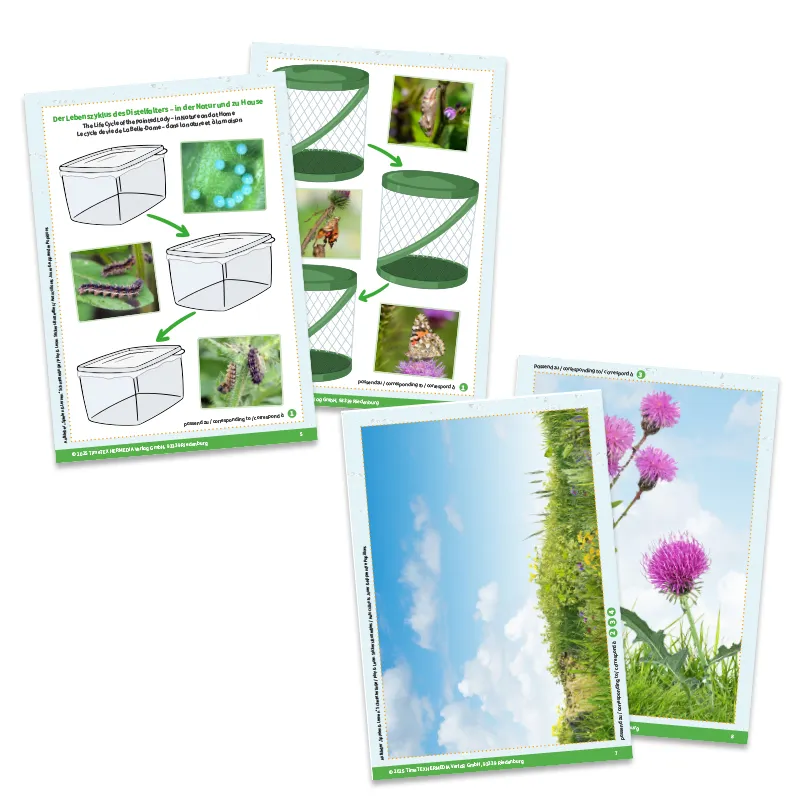 Aufkleber „Spielen und Lernen“ Schmetterlinge, 227-tlg.