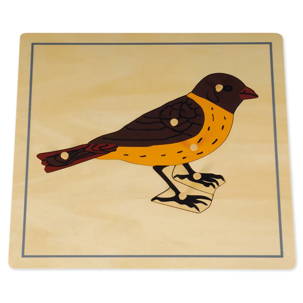 TimeTEX Puzzle Vogel "Montessori Premium"