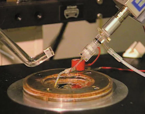 DVD-Lehrfilm Membranpotenziale