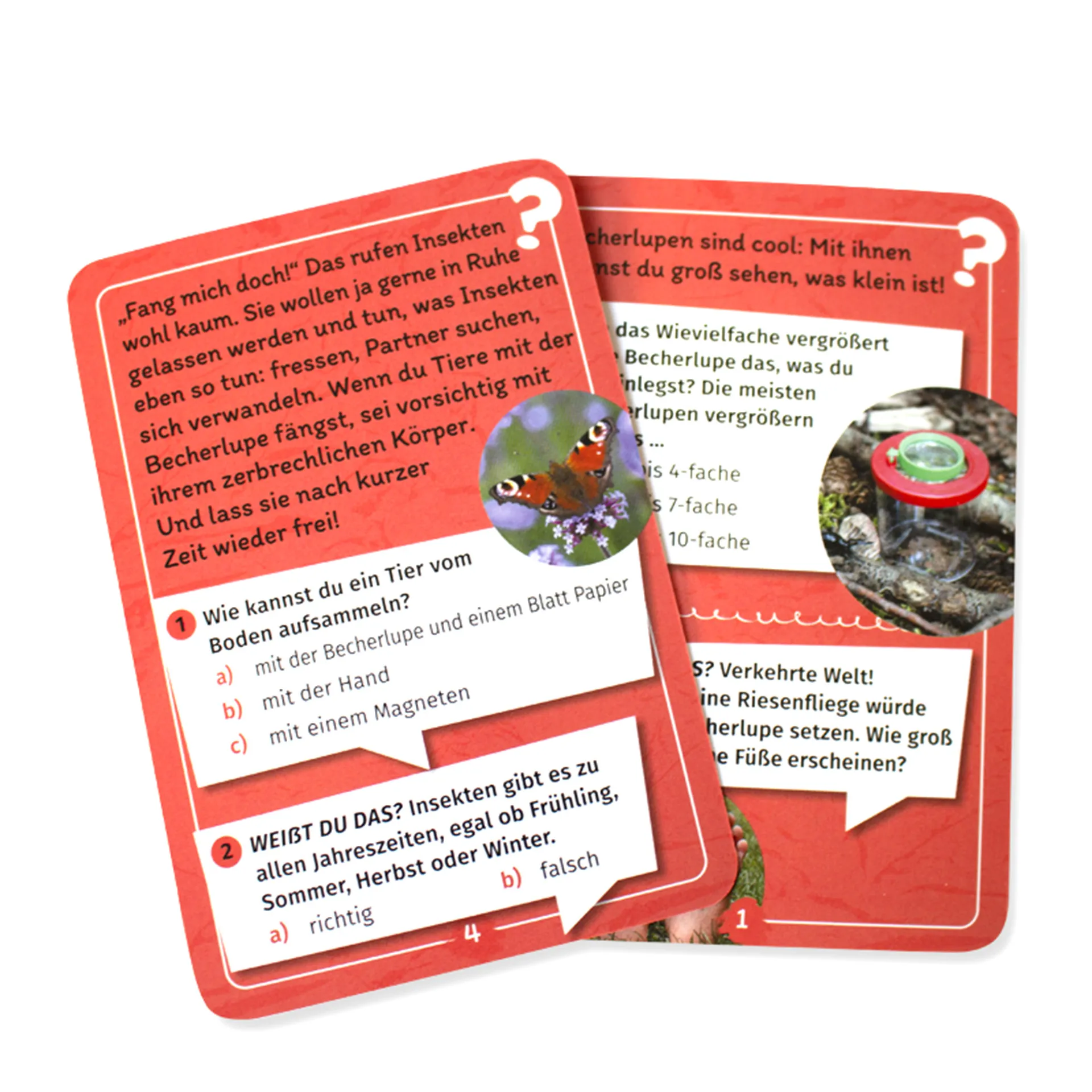 Expedition Natur Mein Becherlupen-Forscherquiz