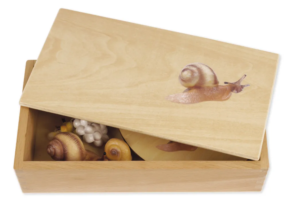 TimeTEX Lebenszyklus einer Schnecke, in Holzbox "Montessori Premium"
