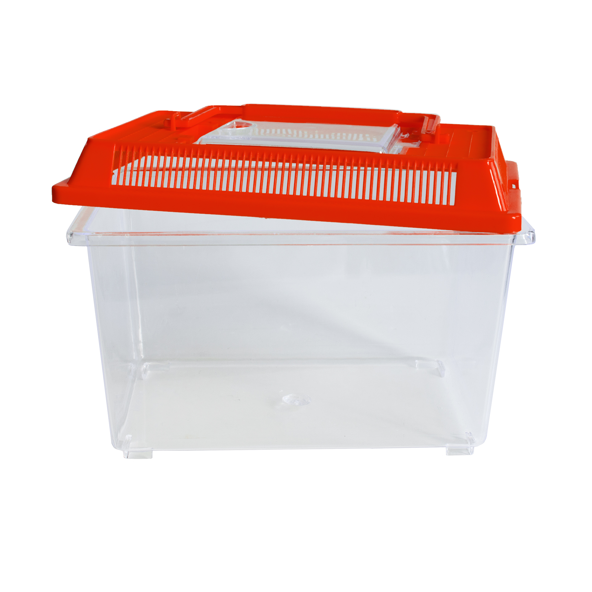 Insekten-Beobachtungsbox