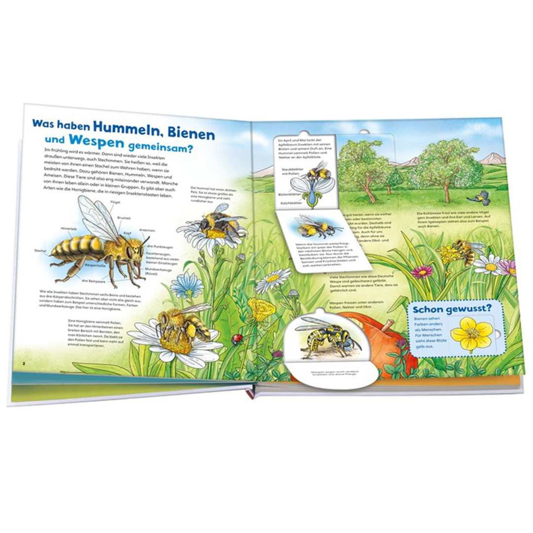 Was ist Was junior: Bienen, Wespen, Hummeln
