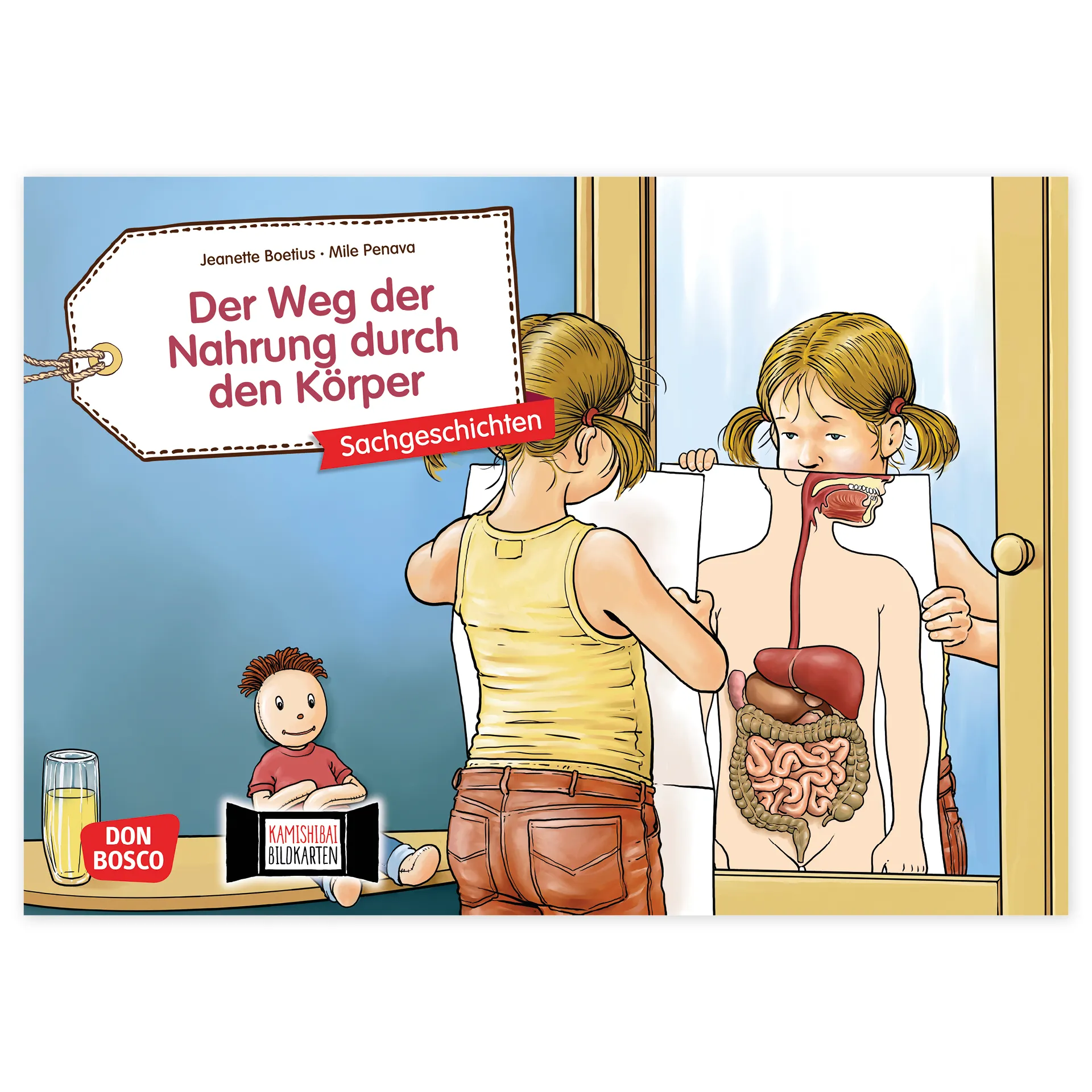 Bildergeschichten-Karten "Der Weg der Nahrung durch den Körper", 12-tlg.