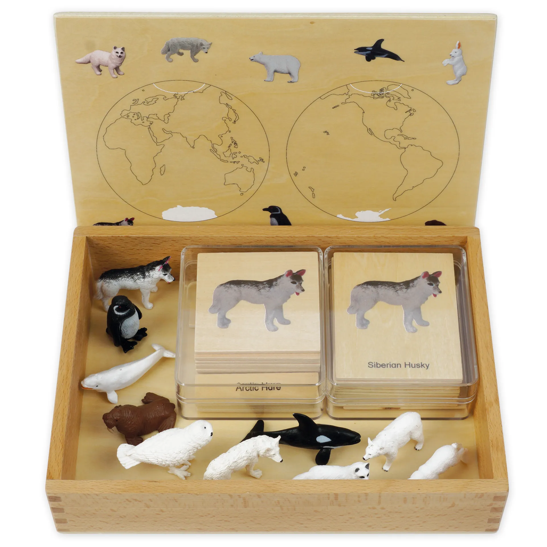 TimeTEX Mini-Polartiere-Set "Montessori Premium"