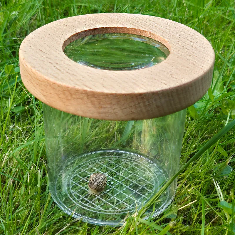 Hagemann Holz-Lupendose Natur & Digital