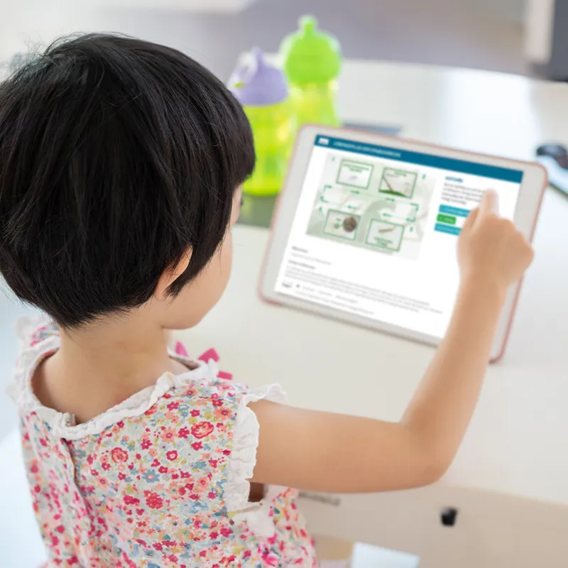 Hagemann Gruppenprojektset Stabschrecken