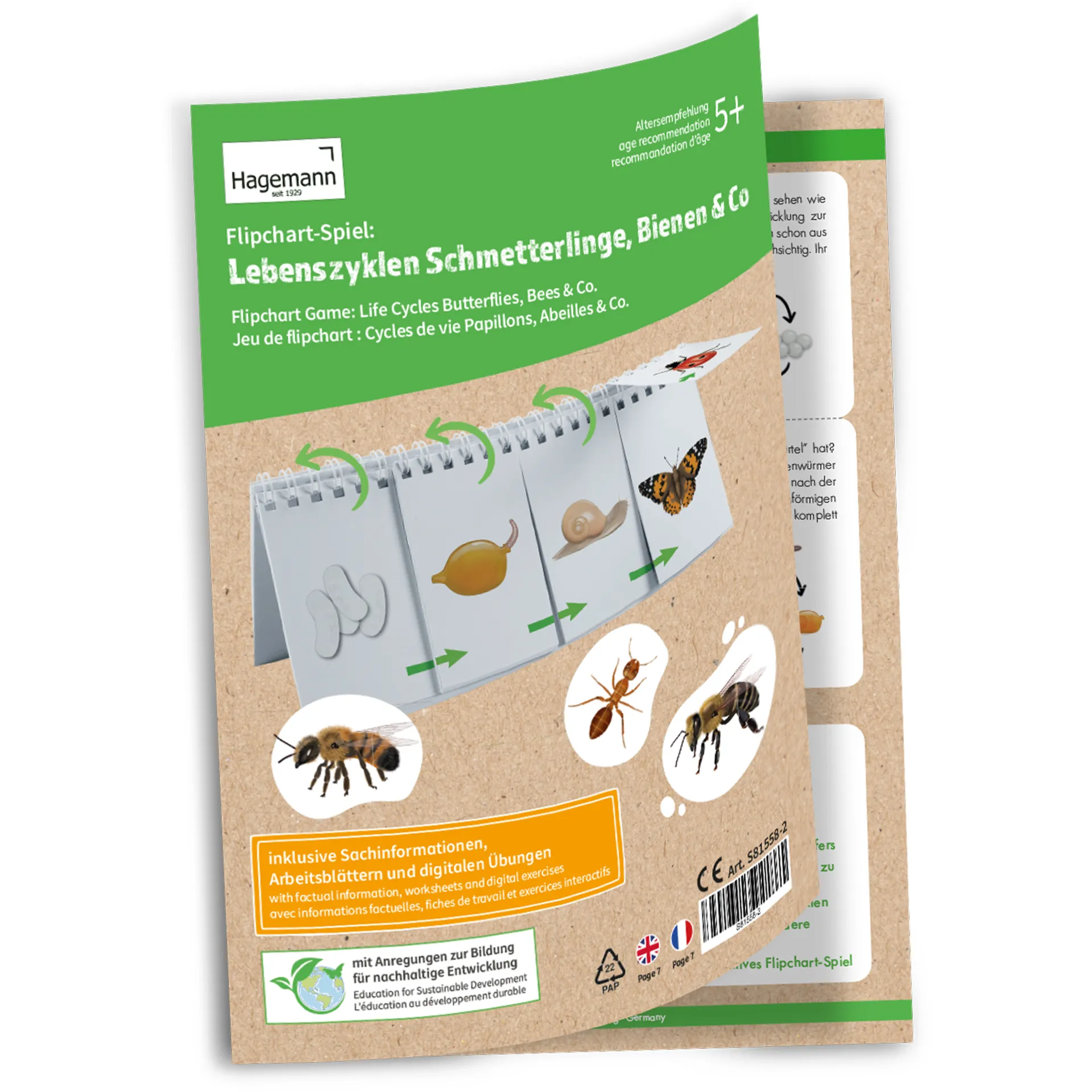 Hagemann Flipchart-Spiel Lebenszyklus Schmetterlinge, Bienen & Co