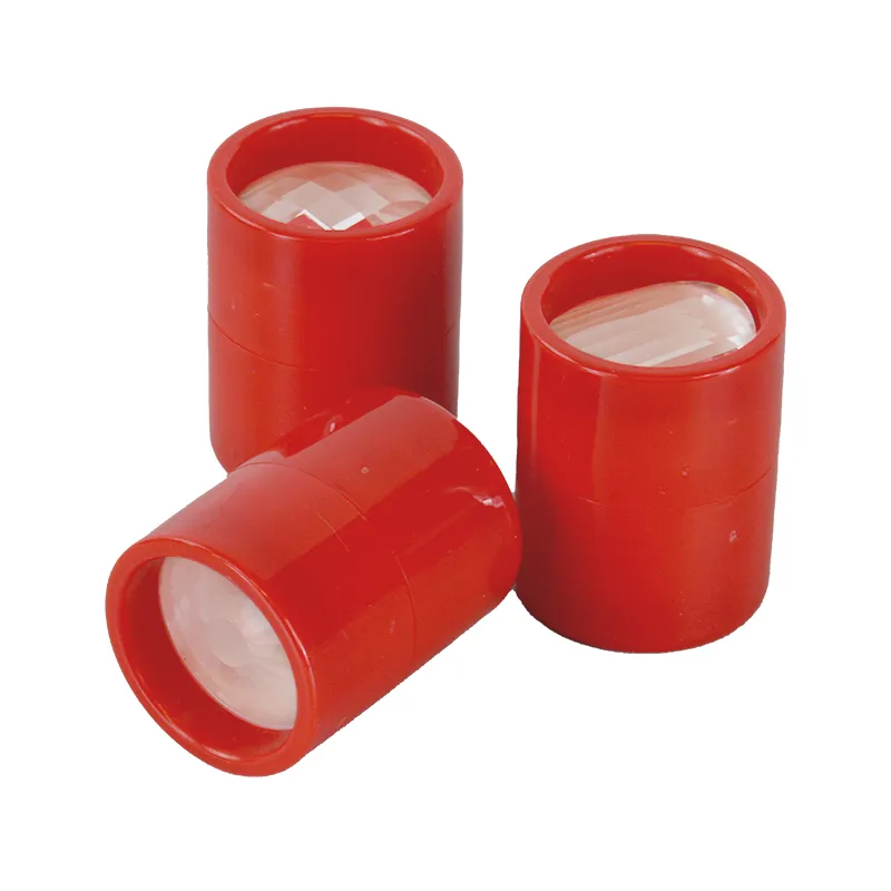 Hagemann Gruppenprojektset Stabschrecken