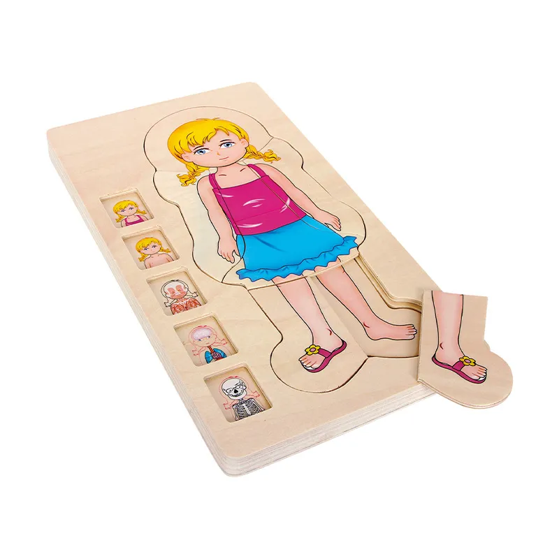Körperschichten Puzzle Mädchen (28-tlg.)